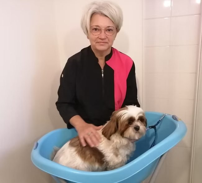 Toilettage chien, étape du lavage